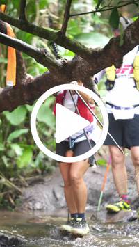 BIB:  <button type="button" onclick="openModal(27581745)" class="btn btn-primary btn-sm float-right" data-toggle="modal" data-target=".modal-high-quality">
                <i class="fa fa-download"></i> Download
                </button>